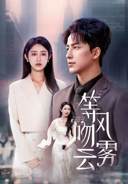 剧集 白夜追凶2